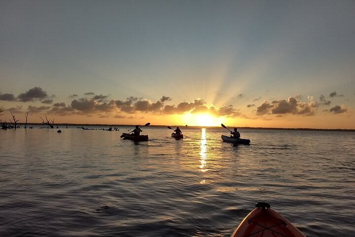 Sunset kayaking tour at Manatee Cove with Manatee & Dolphin sightings - Photo 1 of 11